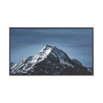 49 inch Wall Mount Advertising Player
