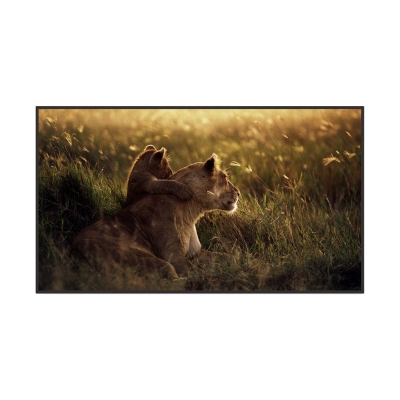 65 inch Wall Mount Advertising Player
